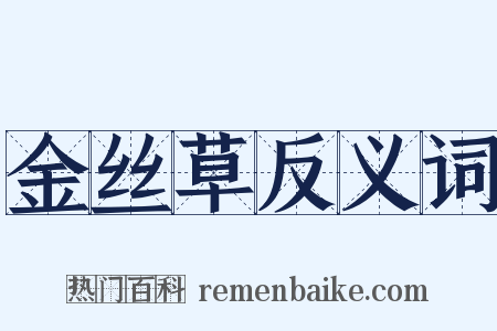 金丝草反义词是什么意思的图片